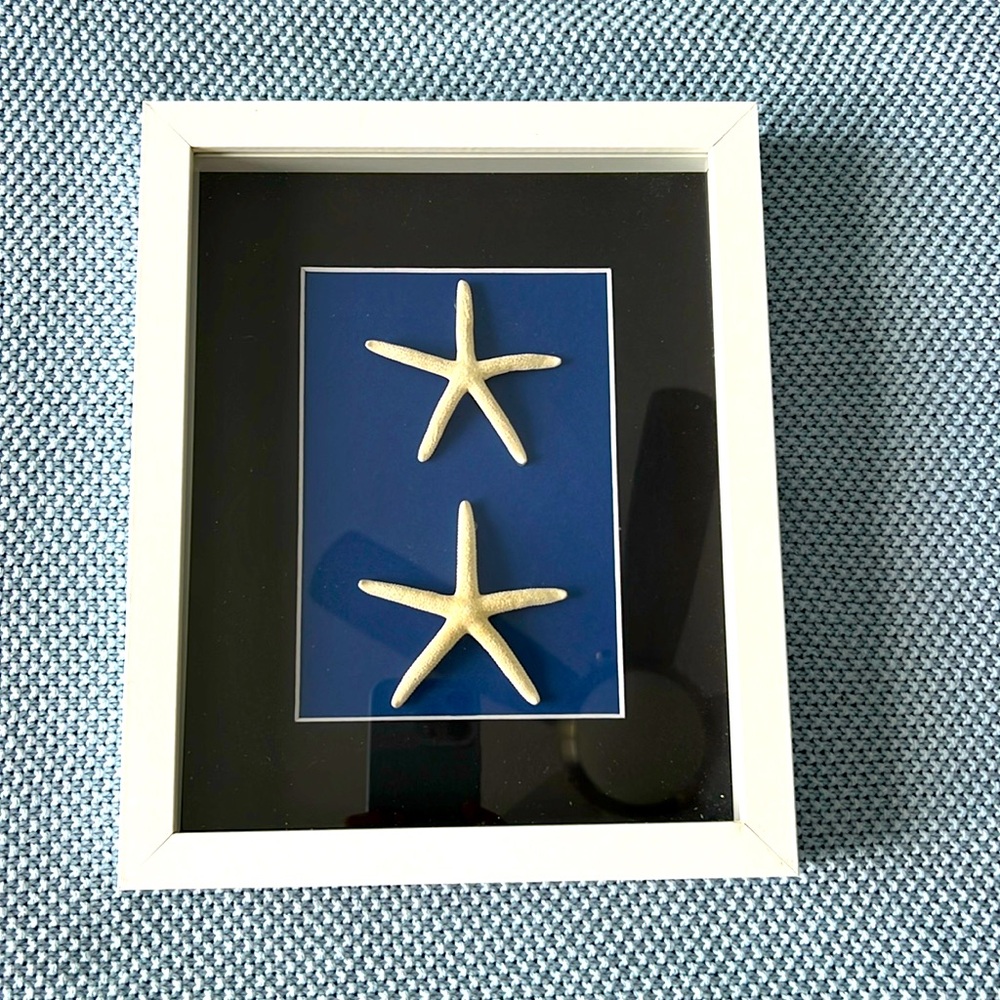 FRAMED STAR FISH